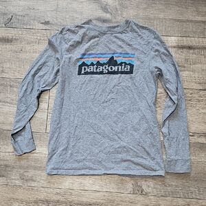 Patagonia Heather Gray Long Sleeve with Colorful Logo